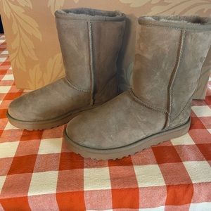Ugg Classic Short Boot in Fawn sz 8